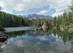 IMG_20210622_164948