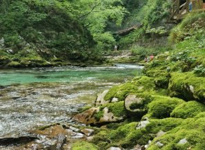 IMG_20210725_101840