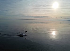 IMG_20211019_162144